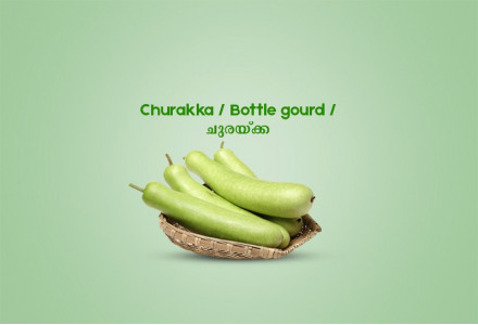 Churakka / Bottle gourd / ചുരയ്ക്ക  -500gm 